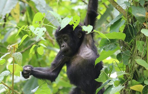 eric-heininger-1570802-unsplash