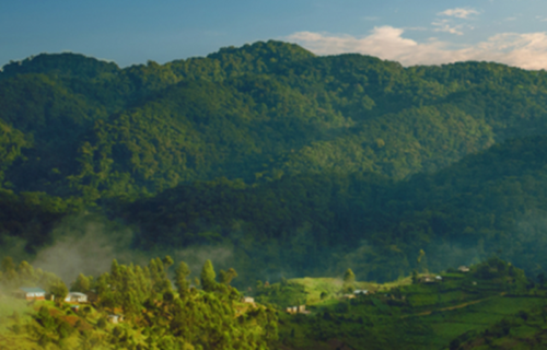 Mount Elgon National Park