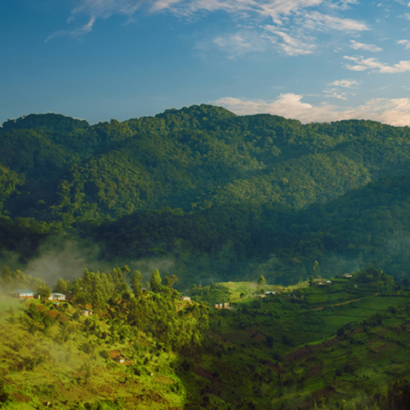 Mount Elgon National Park