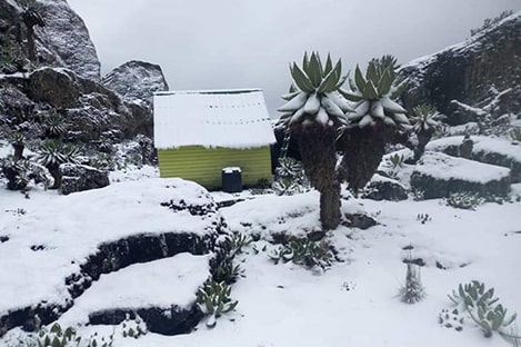 Rwenzori Mountains National Park