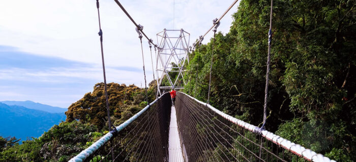 Nyungwe Forest National Park