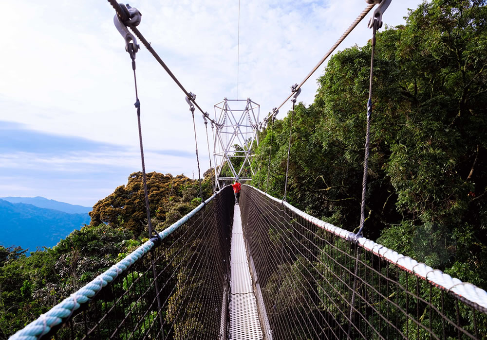 Nyungwe Forest National Park