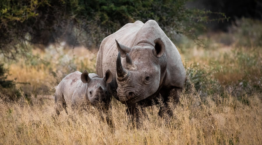 Ziwa Rhino Sanctuary