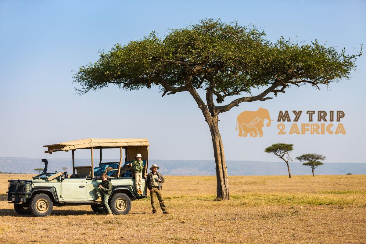 Planning Your Dream Safari: Tips and Tricks from My Trip 2 Africa Tours