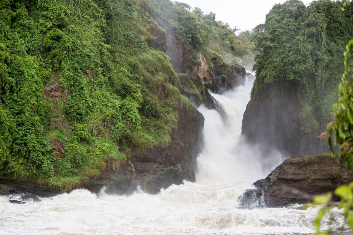 From Mountains to Waterfalls: Embark on an Epic Journey Through Tourism in Uganda